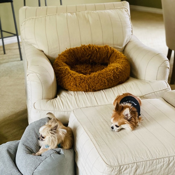 Best Orthopedic Micro Bead small Pet stairs - Picture 3 of 9